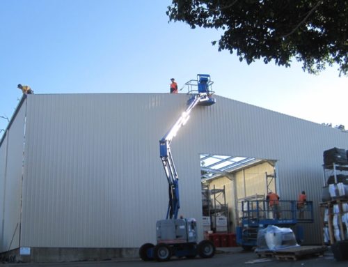 Warehouse Shed – Flower Power